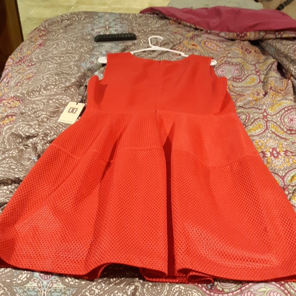 Dress - Picture 3 of 4